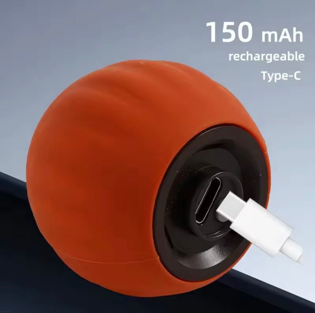 Automatisches Katzenspielzeug
