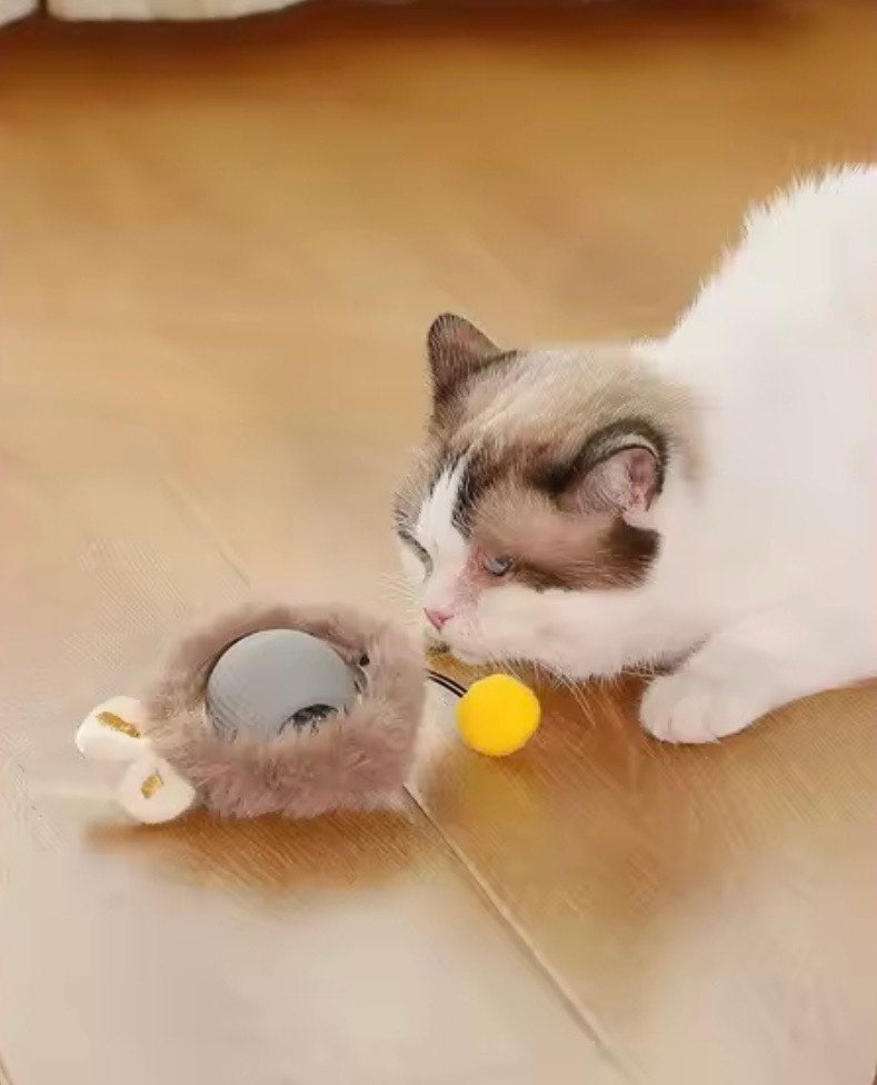 Automatisches Katzenspielzeug