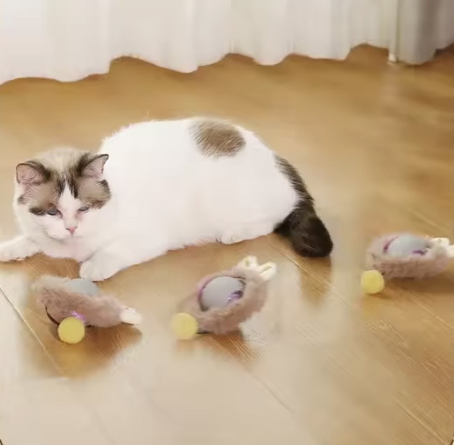 Automatisches Katzenspielzeug